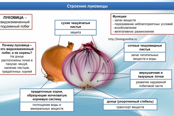 Украли аккаунт на кракене